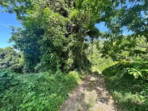 Road Pr-140 Km 34.2 Barrio Don Alonso Utuado PR 00641