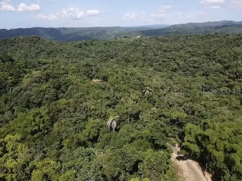 Road Pr-140 Km 34.2 Barrio Don Alonso Utuado PR 00641