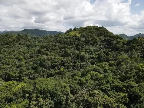 Road Pr-140 Km 34.2 Barrio Don Alonso Utuado PR 00641
