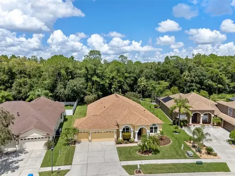 18432 Eastwyck Drive Tampa FL 33647