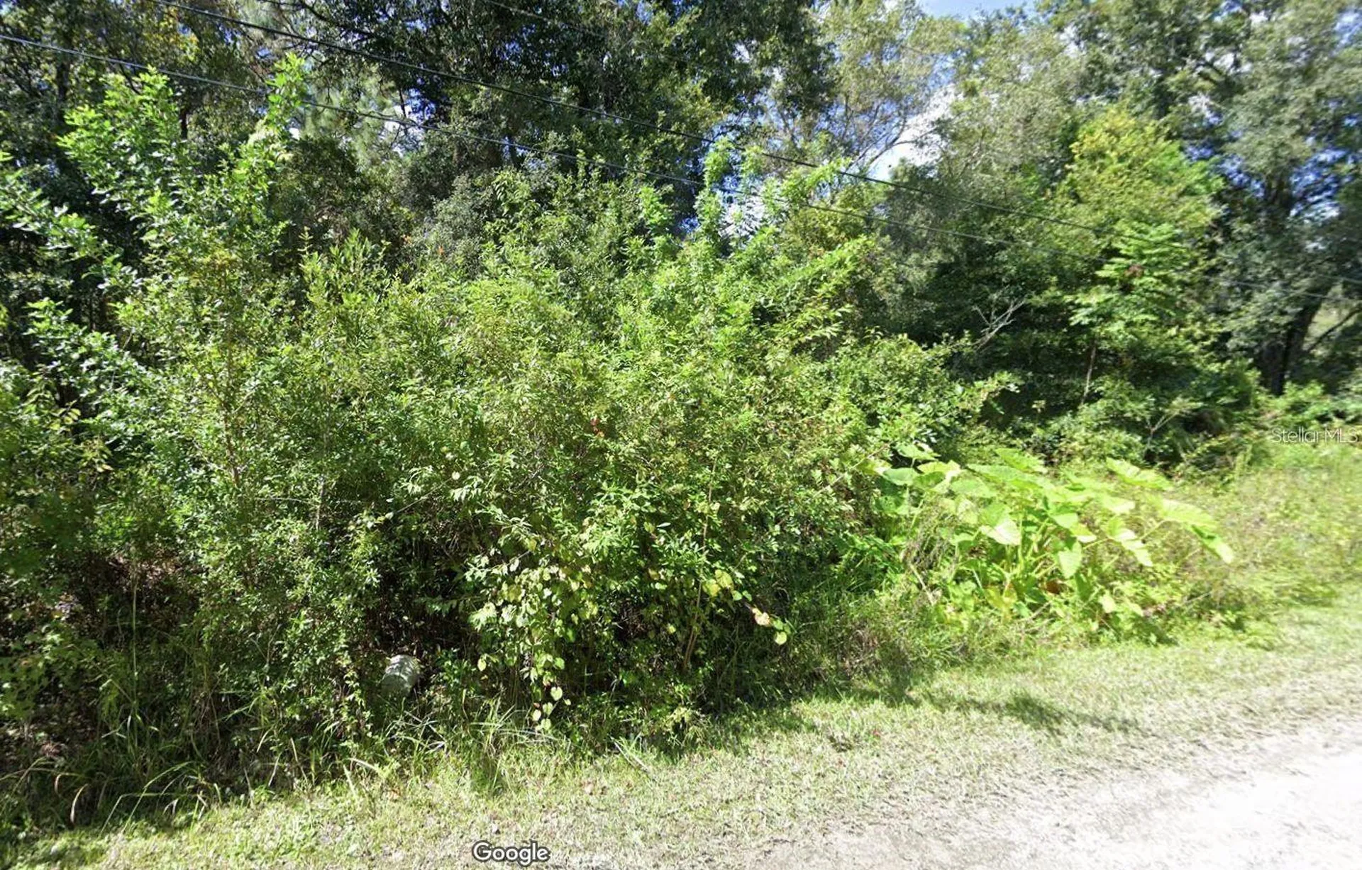 00 Webb Street New Port Richey FL 34654