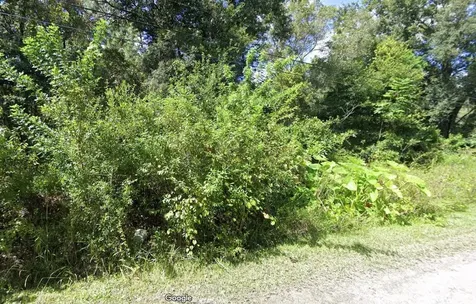 00 Webb Street New Port Richey FL 34654