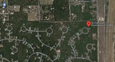 36 Cherrypalm Court Homosassa FL 34446