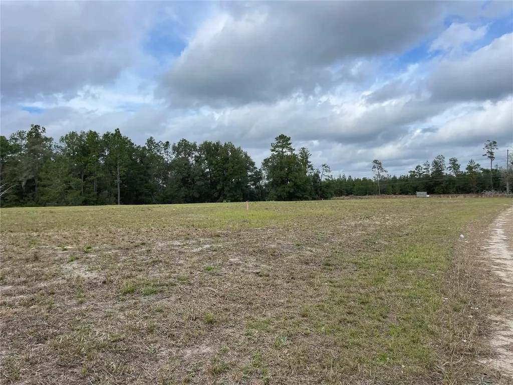 00 NE 108th Court Bronson FL 32621