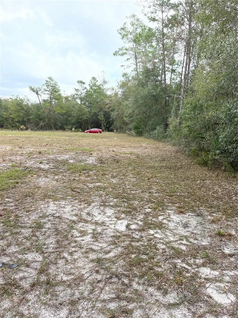 00 NE 108th Court Bronson FL 32621