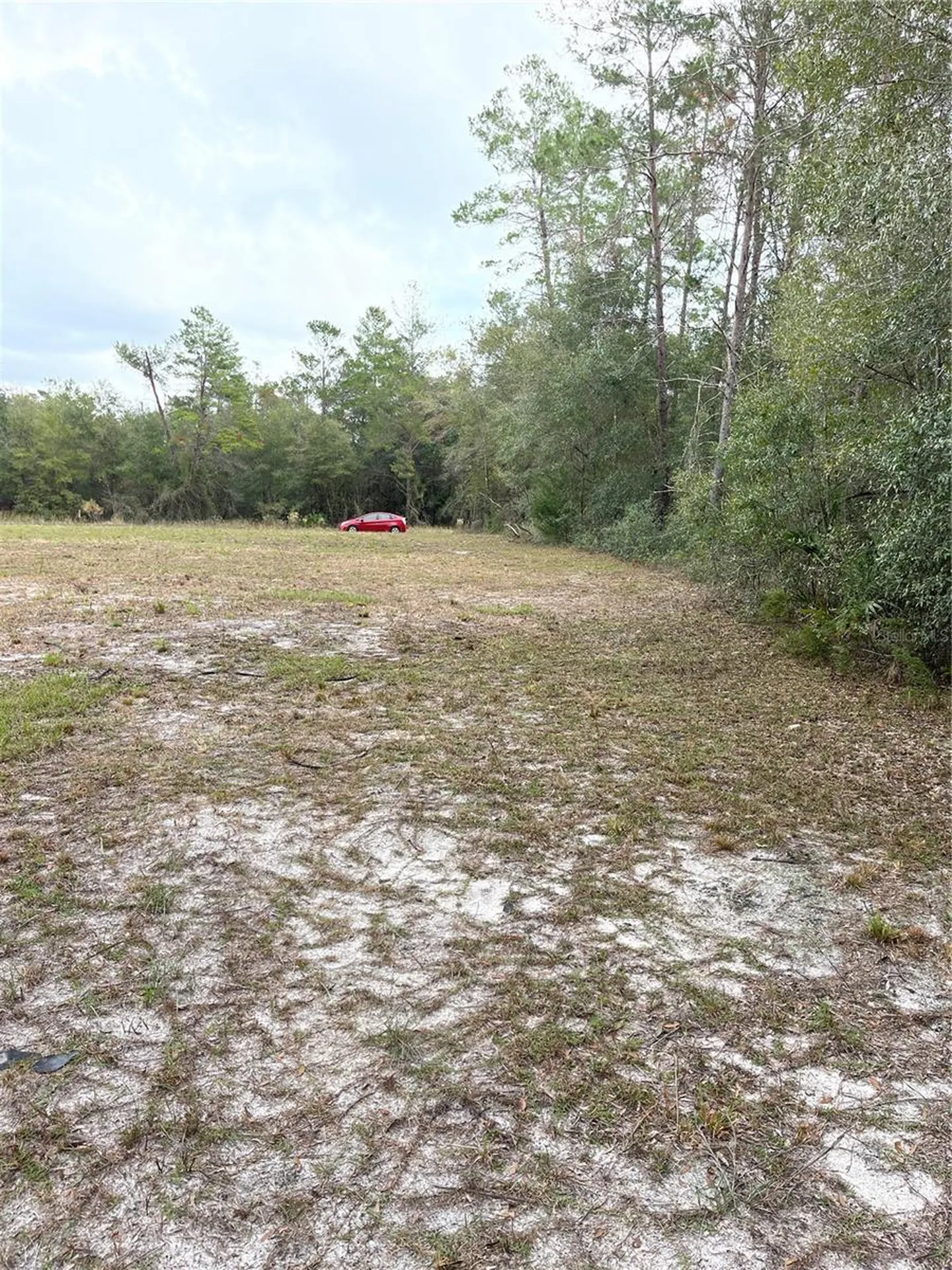 00 NE 108th Court Bronson FL 32621