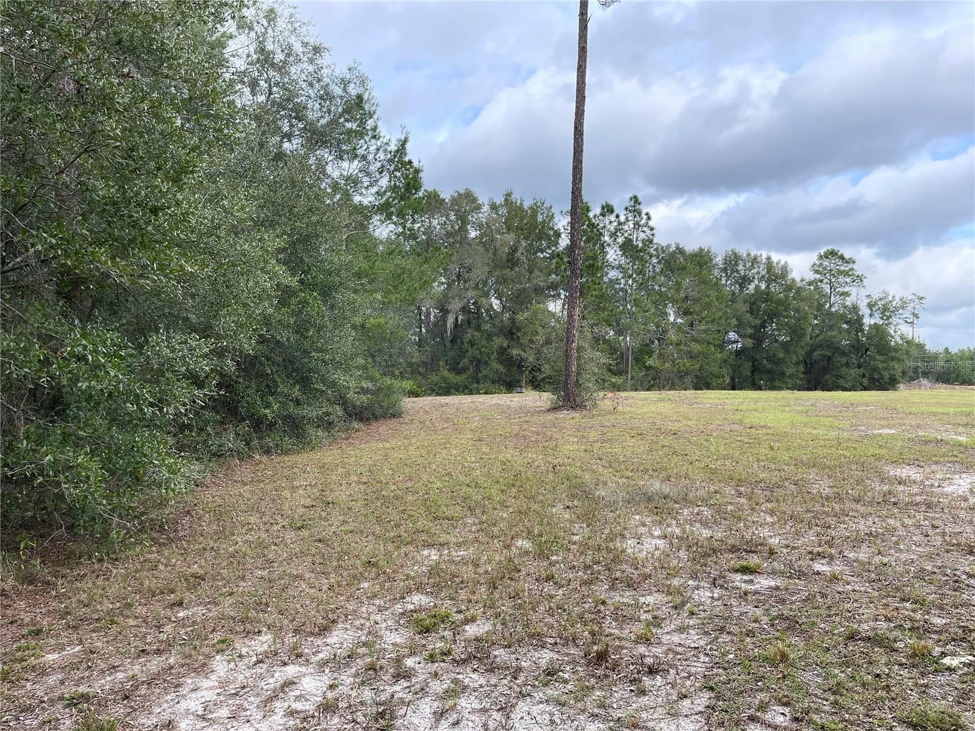 00 NE 108th Court Bronson FL 32621