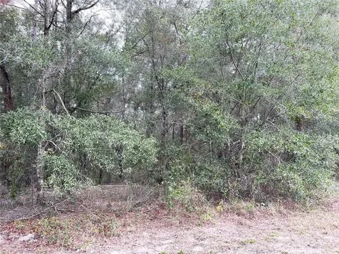 00 NE 108th Court Bronson FL 32621