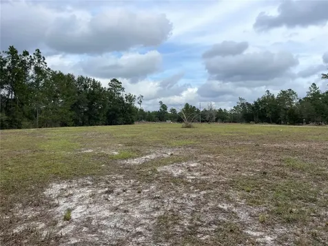 00 NE 108th Court Bronson FL 32621