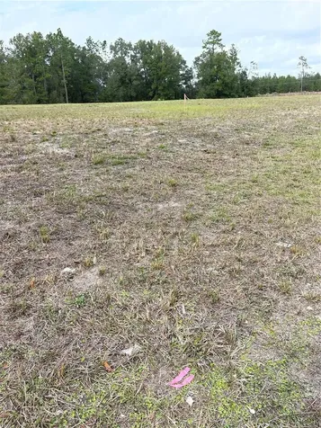 00 NE 108th Court Bronson FL 32621