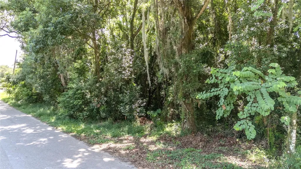 3RD Street Leesburg FL 34748