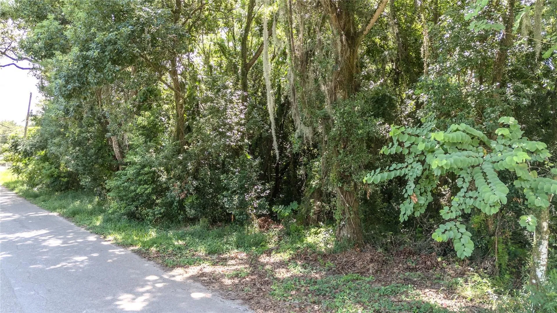 3RD Street Leesburg FL 34748