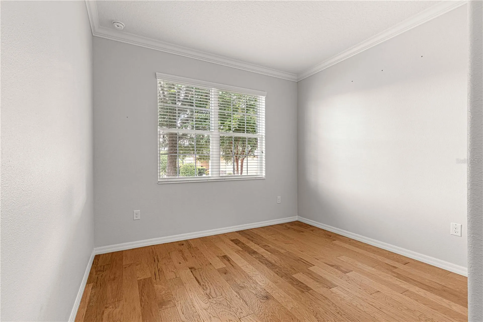 9823 SW 95th Loop Ocala FL 34481