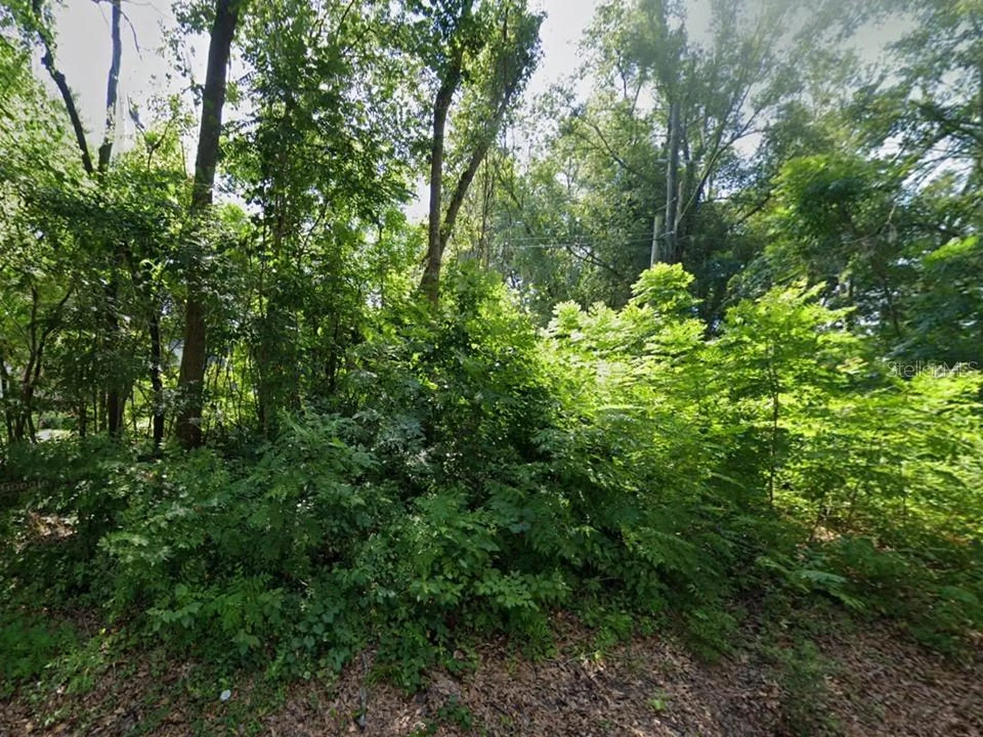 12213 NW 157th Street Alachua FL 32615
