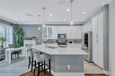 14453 Mirabelle Vista Circle Tampa FL 33626