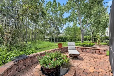 14453 Mirabelle Vista Circle Tampa FL 33626