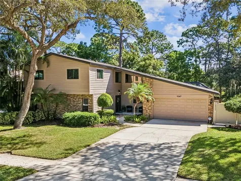 3047 Enisglen Drive Palm Harbor FL 34683