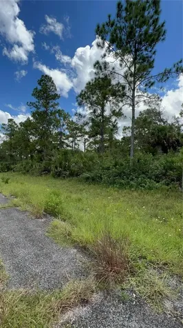 313 James Irwin Terrace Labelle FL 33935