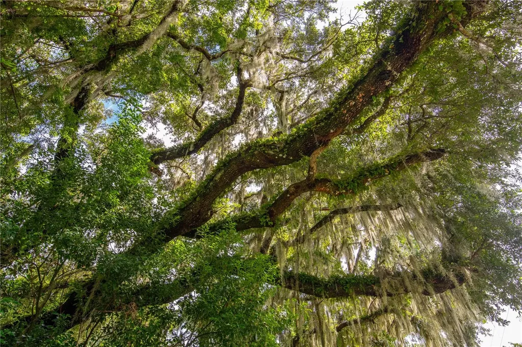 Whitman Road Brooksville FL 34601