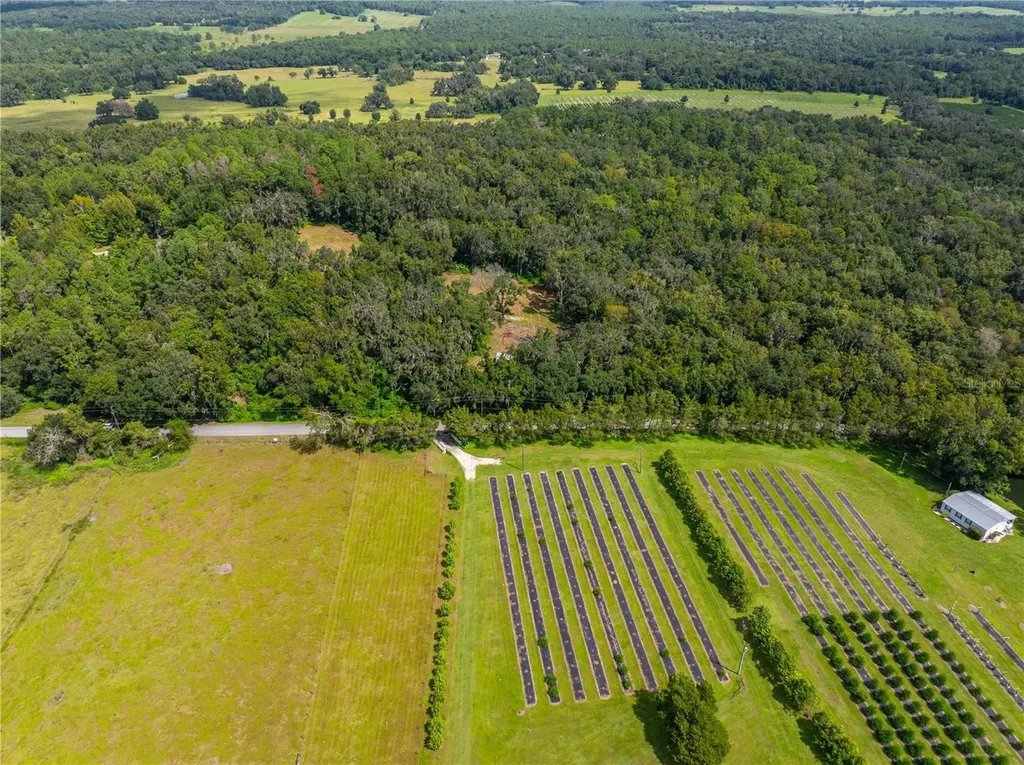 Whitman Road Brooksville FL 34601