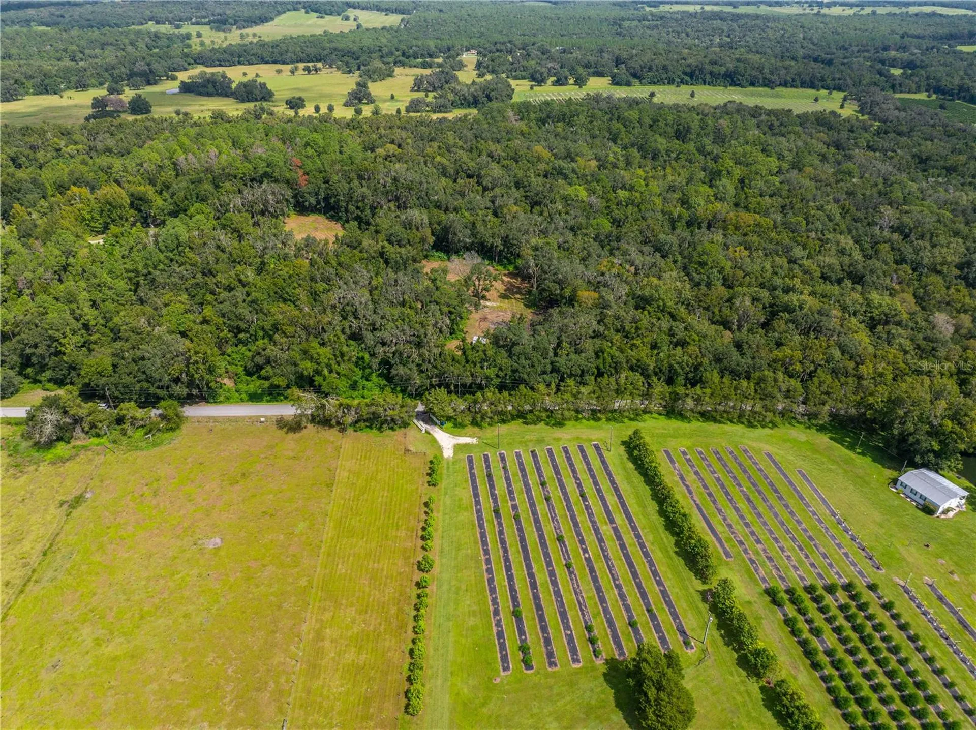 Whitman Road Brooksville FL 34601