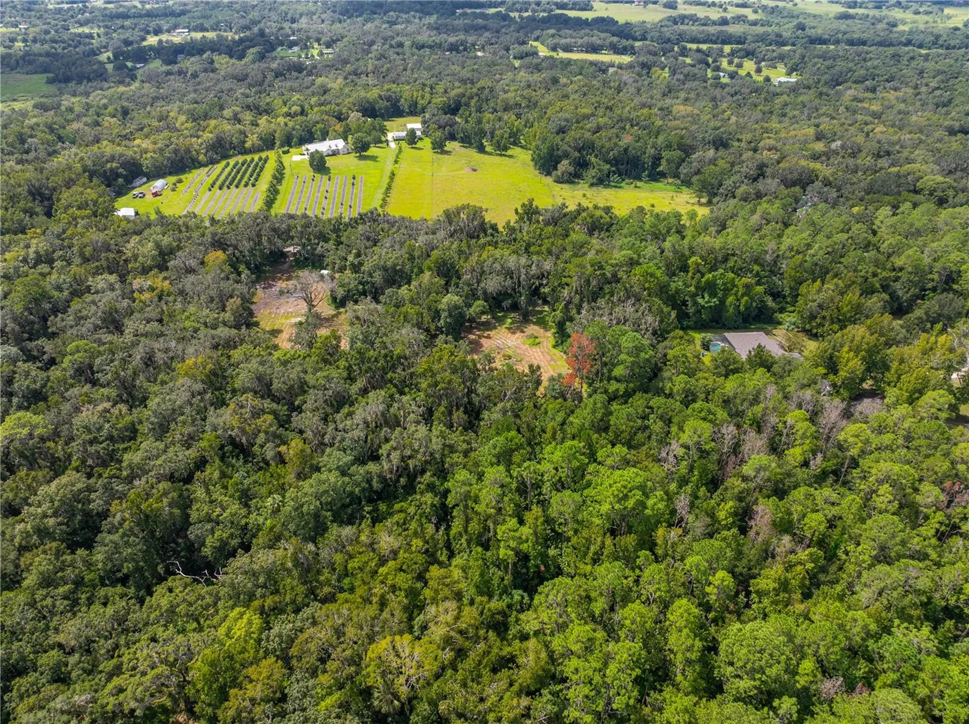 Whitman Road Brooksville FL 34601