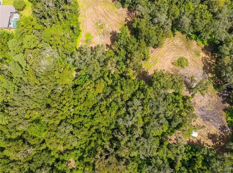 Whitman Road Brooksville FL 34601