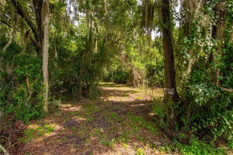 Whitman Road Brooksville FL 34601