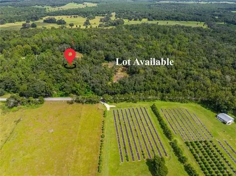Whitman Road Brooksville FL 34601