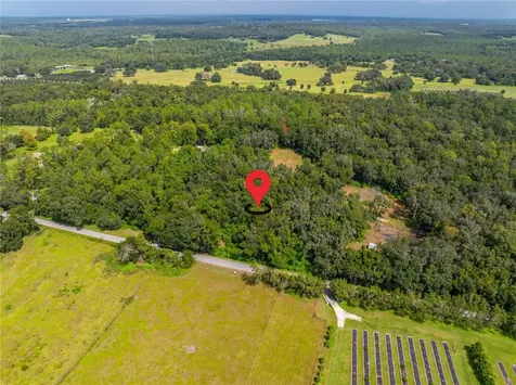 Whitman Road Brooksville FL 34601