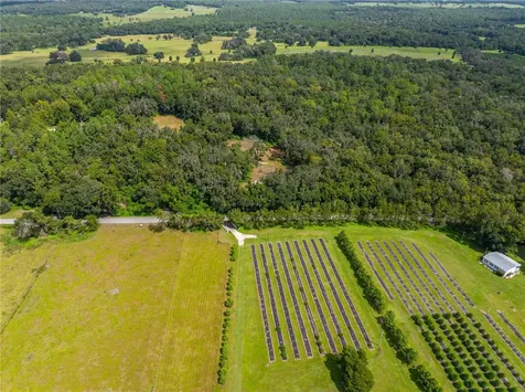 Whitman Road Brooksville FL 34601