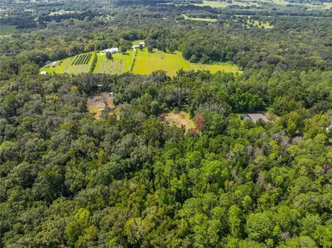 Whitman Road Brooksville FL 34601