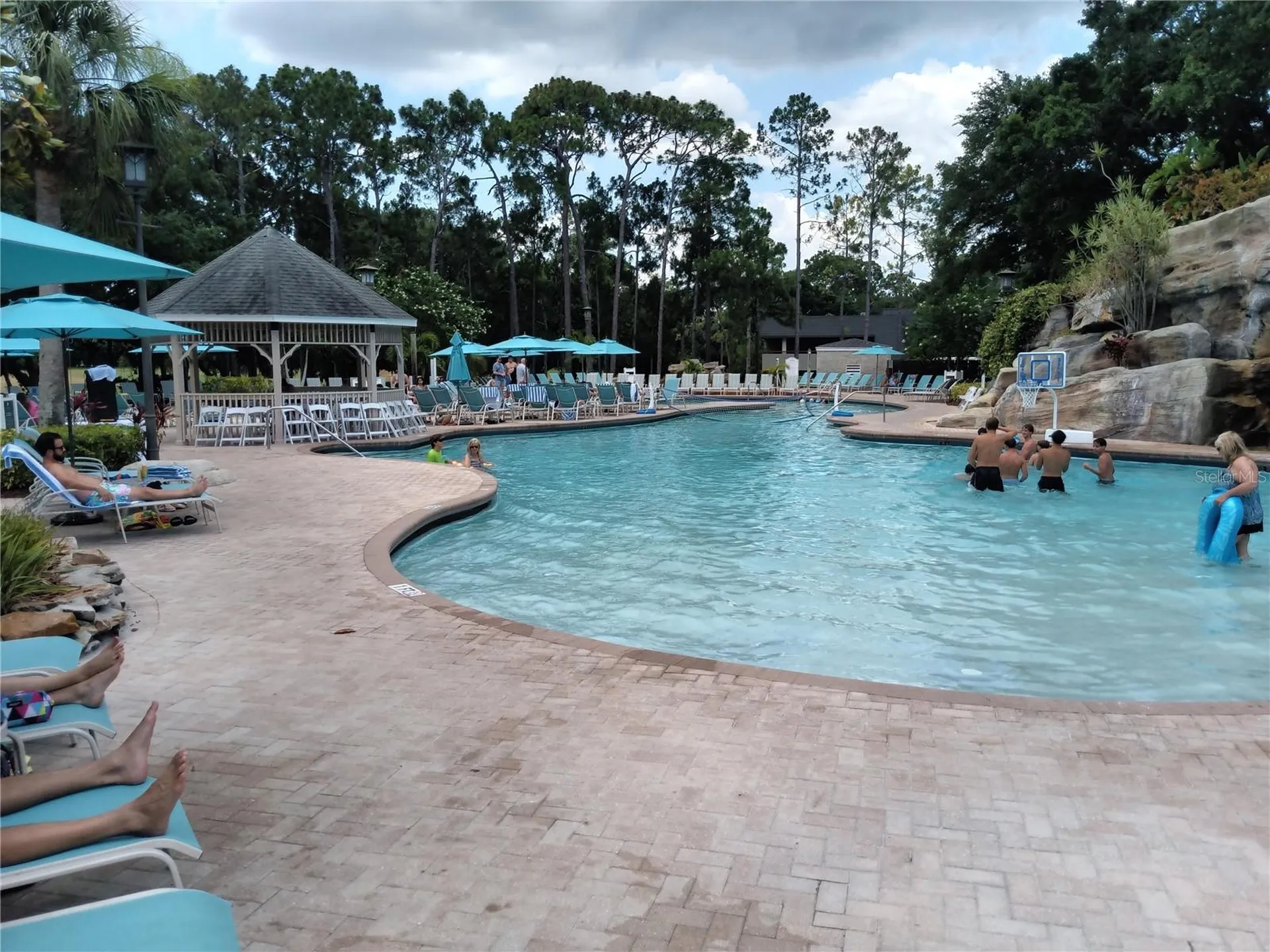 36750 Us Highway 19 N Palm Harbor FL 34684