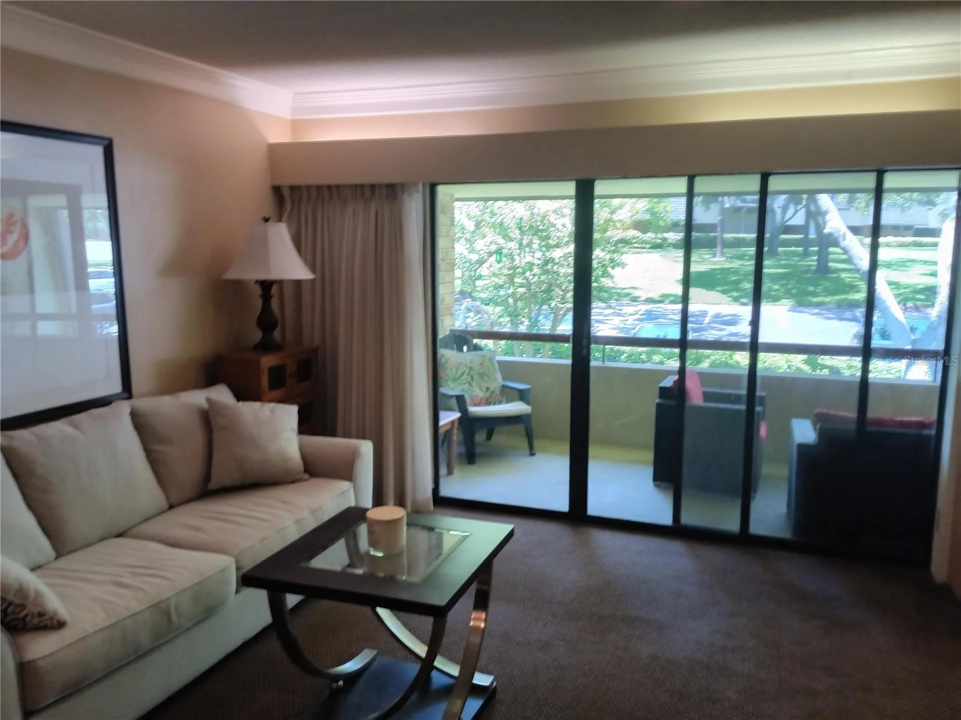 36750 Us Highway 19 N Palm Harbor FL 34684
