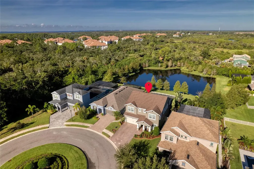 8006 Red Orchard Court Tampa FL 33635