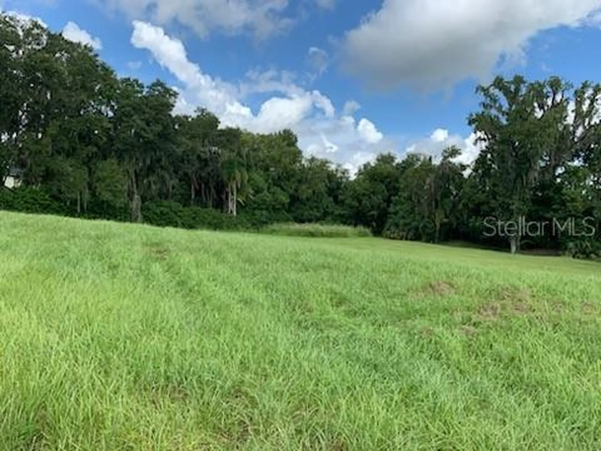13620 Carnoustie Circle Dade City FL 33525