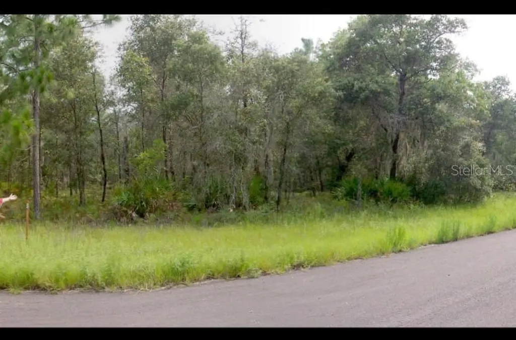 2156 W Deerfield Lane Dunnellon FL 34434