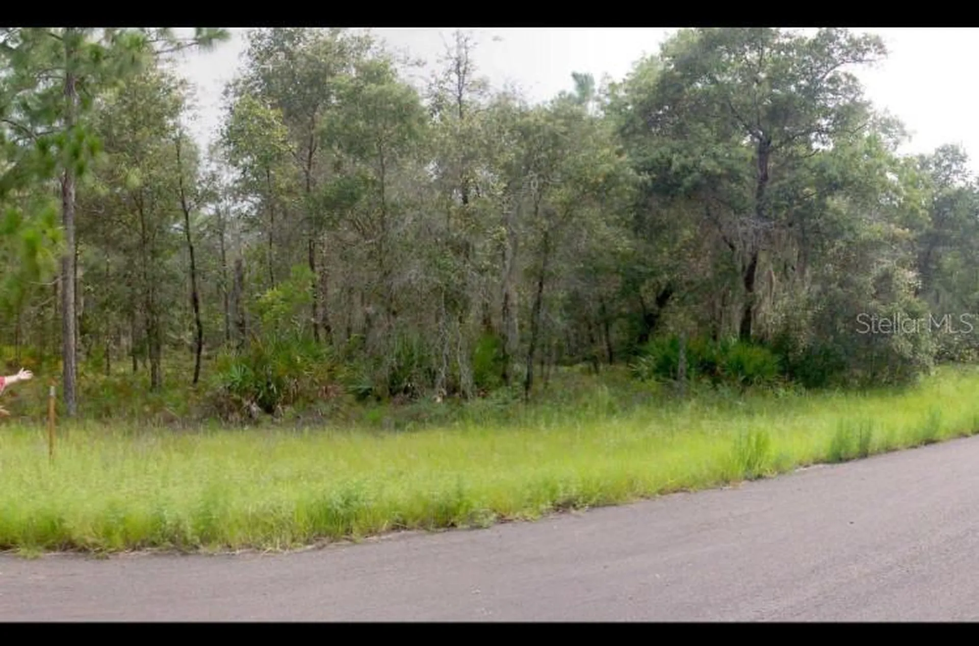 2156 W Deerfield Lane Dunnellon FL 34434