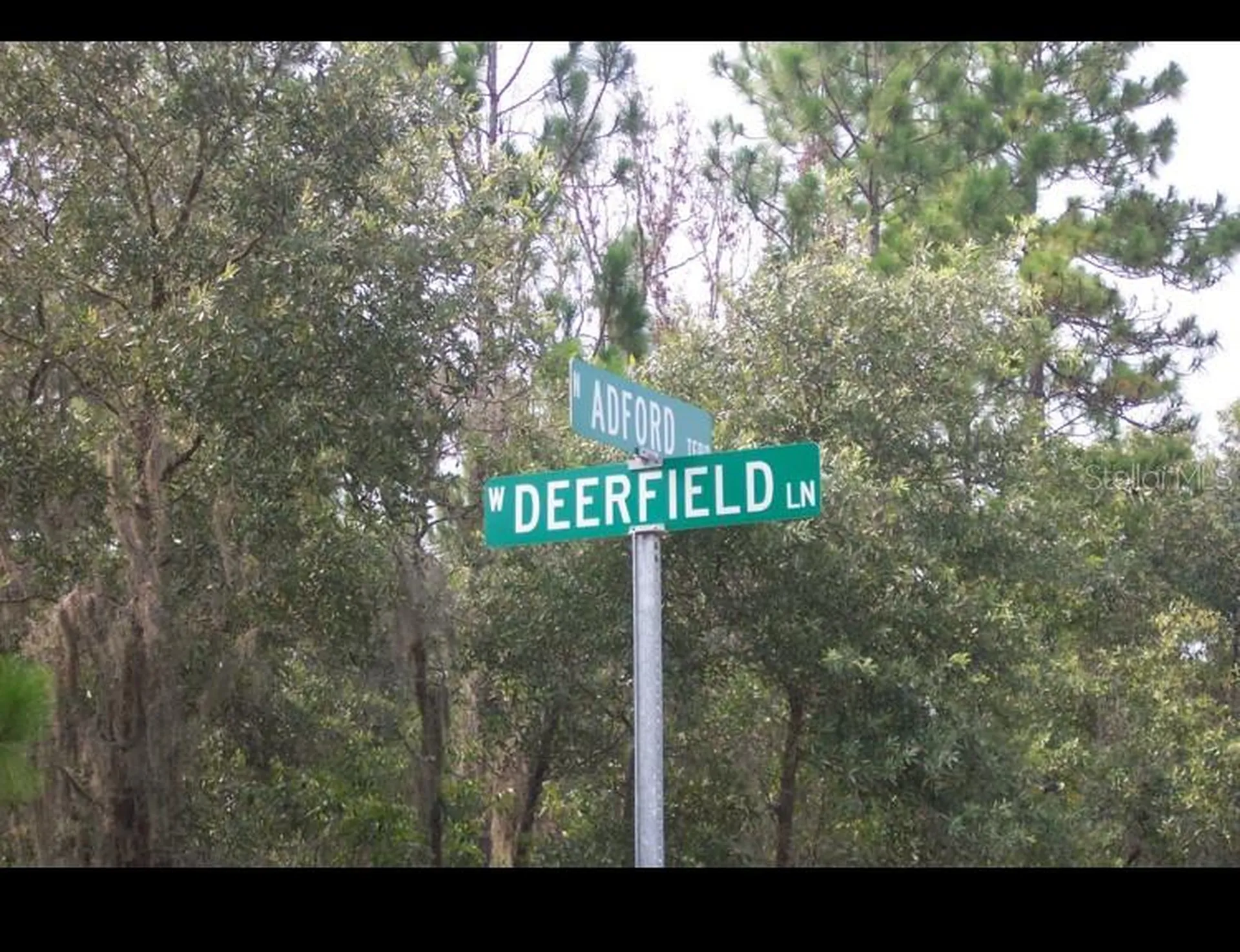 2156 W Deerfield Lane Dunnellon FL 34434