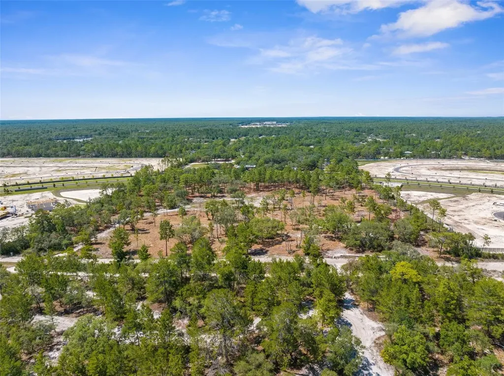 11011 Bourassa Boulevard Weeki Wachee FL 34613