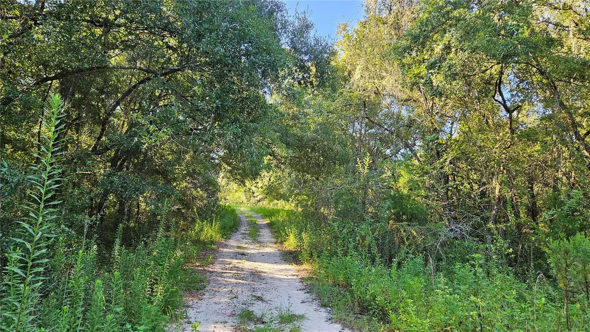 1105 Constitution Way Inverness FL 34453