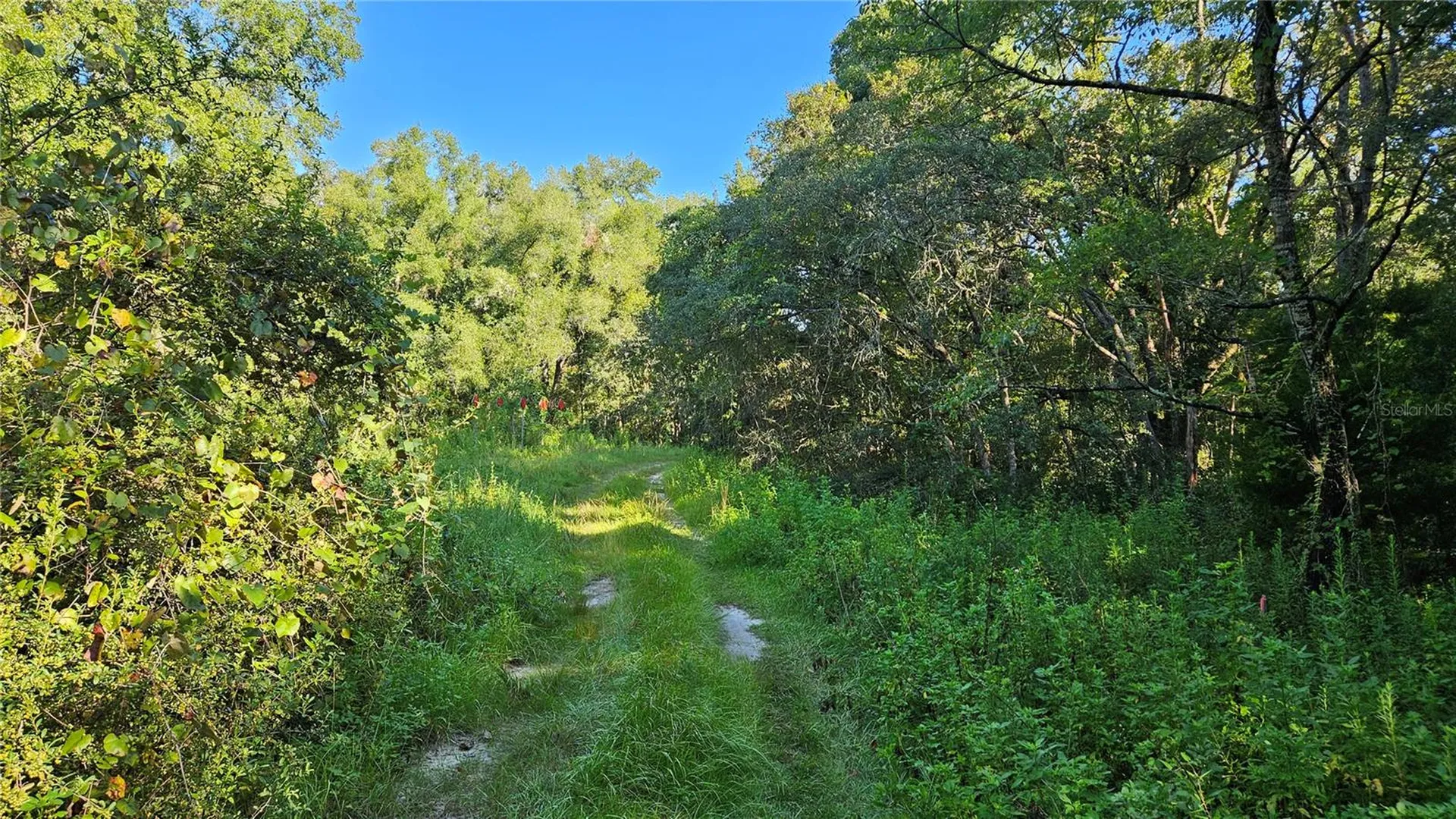 1105 Constitution Way Inverness FL 34453