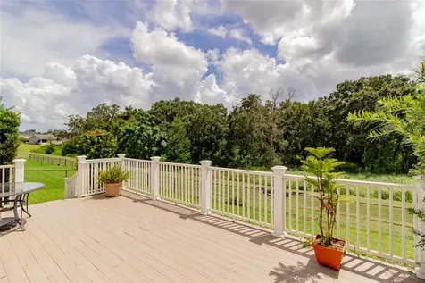 3339 Oak Grove Cove Lakeland FL 33812