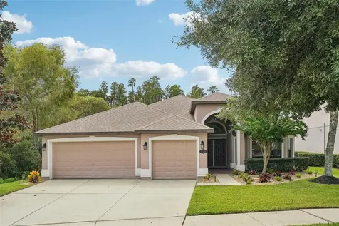 19220 Pepper Grass Drive Tampa FL 33647