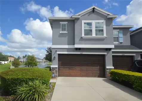 6647 Rocky Park Street Tampa FL 33625