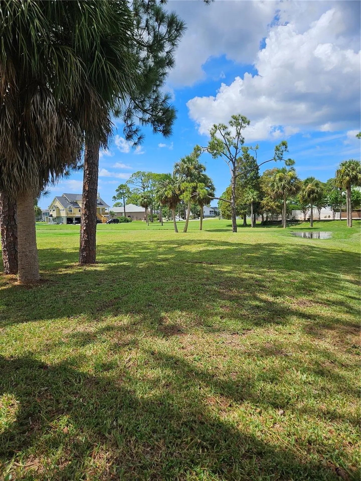 N Pointe Alexis Drive Tarpon Springs FL 34689