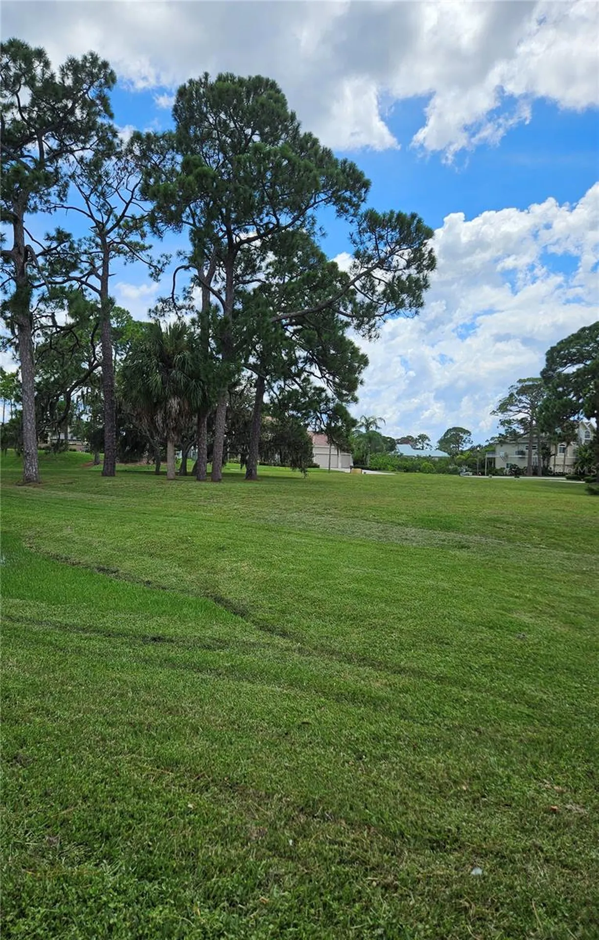 N Pointe Alexis Drive Tarpon Springs FL 34689