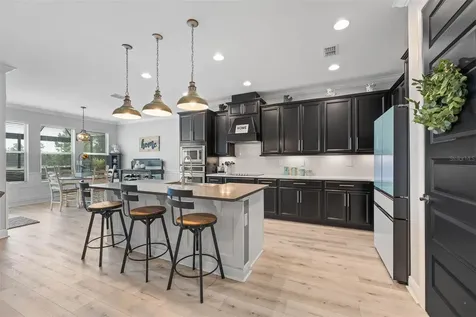 10357 Atwater Bay Drive Winter Garden FL 34787