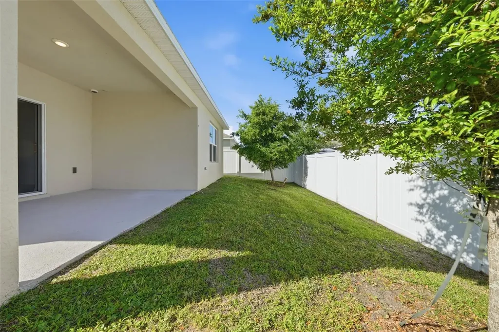 3047 Tansy Street Tavares FL 32778