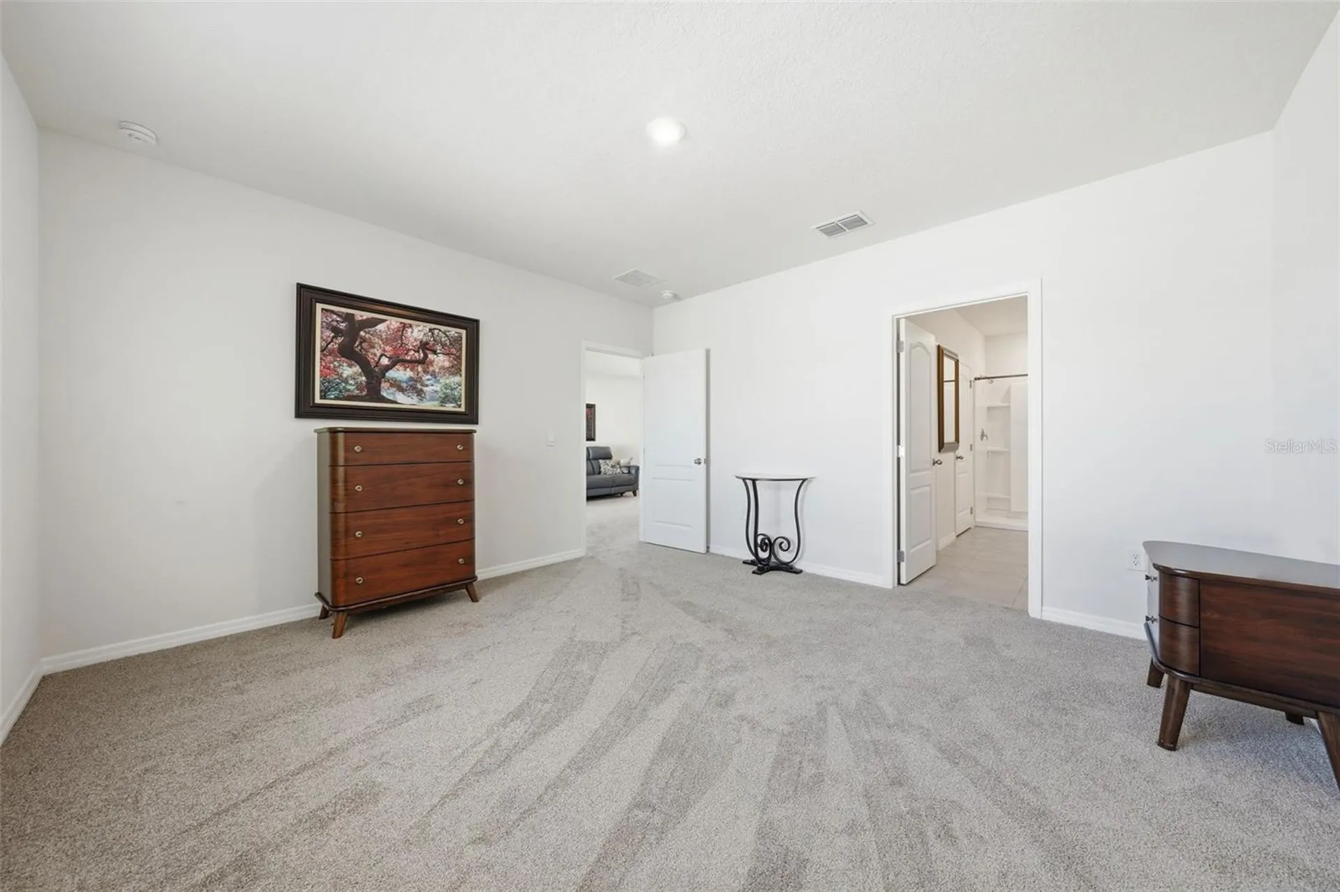 3047 Tansy Street Tavares FL 32778